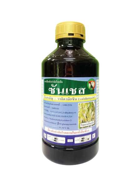 ซันเชส