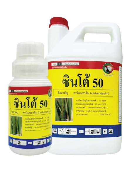 ซินโต้
