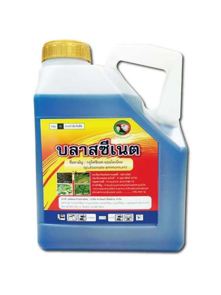 บลาสซีเนต 0